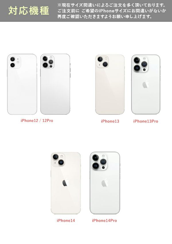 ajew A SCENE エジュー エーシーン B&C kolor scheme case as02-030